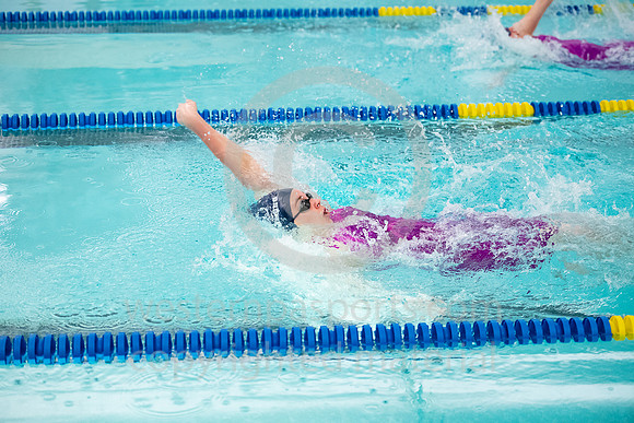 2019 WCCA Swim_20190126-KR1_6870