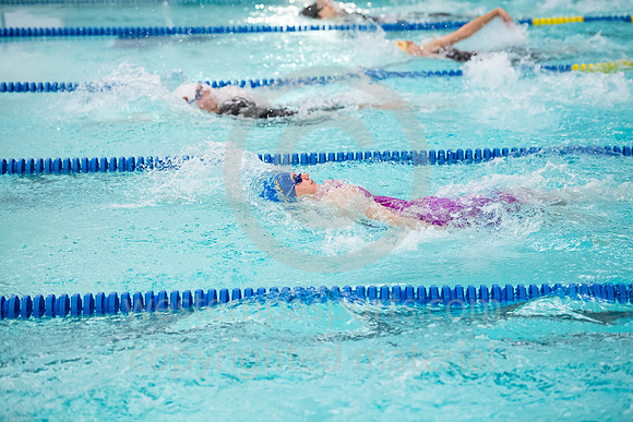 2019 WCCA Swim_20190126-KR1_6877