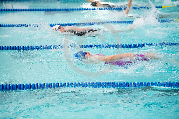 2019 WCCA Swim_20190126-KR1_6878