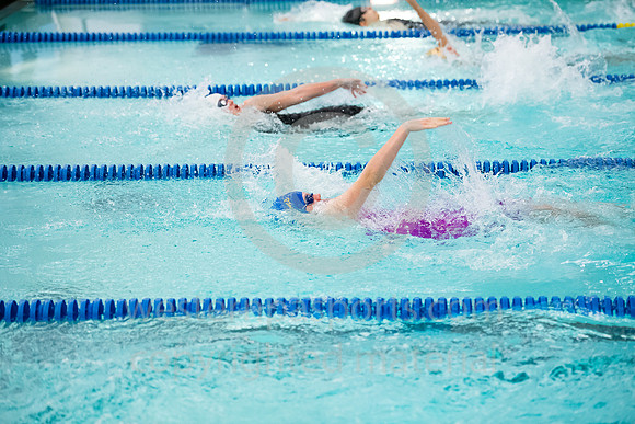 2019 WCCA Swim_20190126-KR1_6879