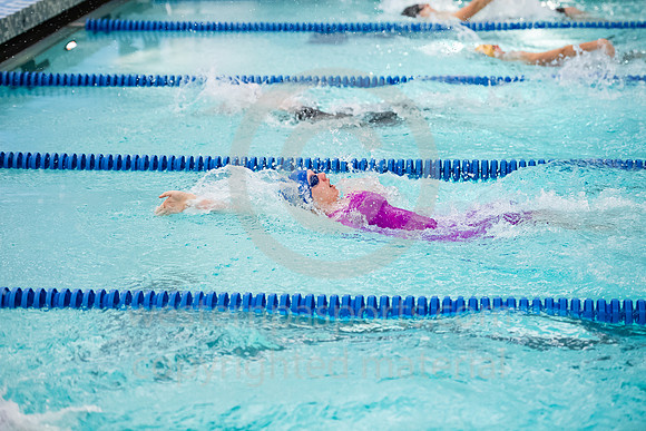 2019 WCCA Swim_20190126-KR1_6882