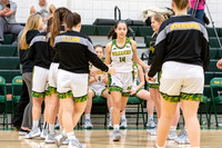 Girls Basketball_PT vs Hempfield_20190129-KR1_1544