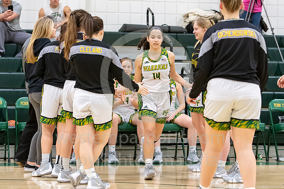 Girls Basketball_PT vs Hempfield_20190129-KR1_1544