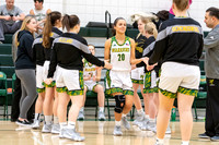 Girls Basketball_PT vs Hempfield_20190129-KR1_1567