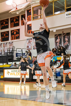 Girls Basketball_Latrobe vs Hempfield_20190209-KR5_0751
