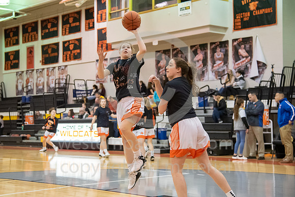 Girls Basketball_Latrobe vs Hempfield_20190209-KR5_0755