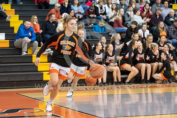 Girls Basketball_Latrobe vs Hempfield_20190209-KR1_1664