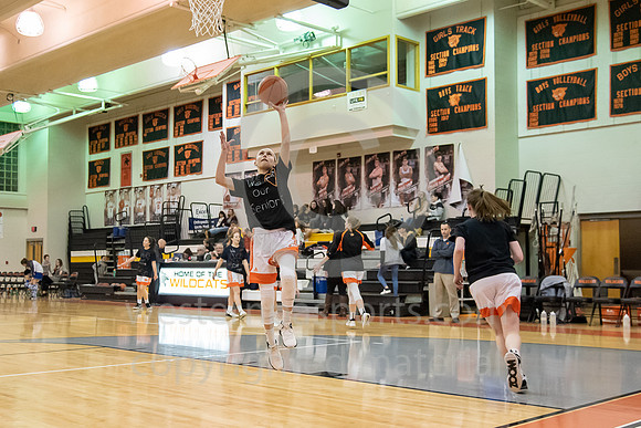 Girls Basketball_Latrobe vs Hempfield_20190209-KR5_0792