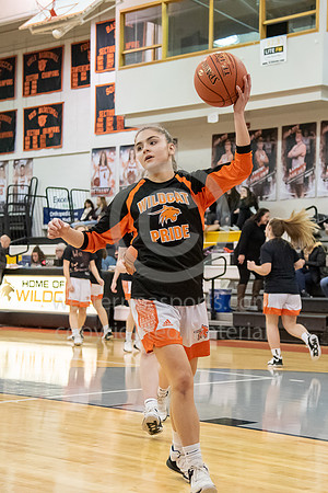 Girls Basketball_Latrobe vs Hempfield_20190209-KR5_0822
