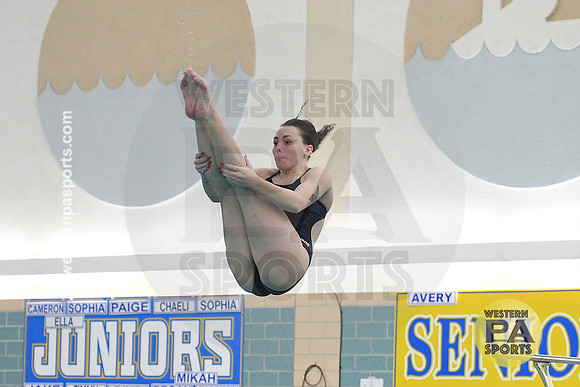 2024 WCCA Diving_20240126-KR1_7813