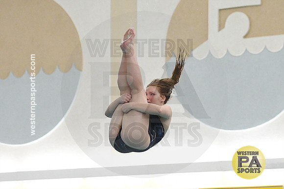 2024 WCCA Diving_20240126-KR1_7937