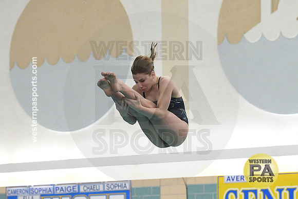 2024 WCCA Diving_20240126-KR1_7980