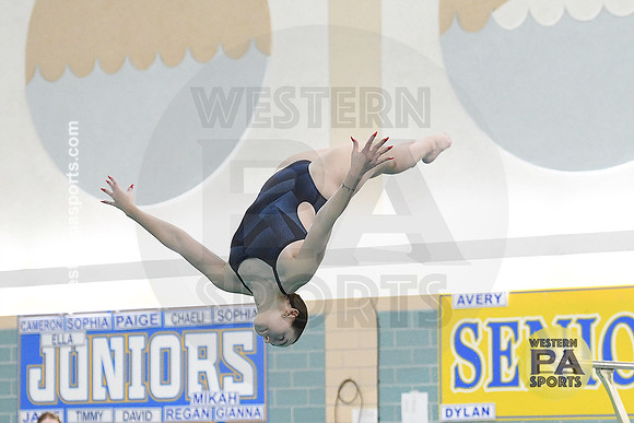 2024 WCCA Diving_20240126-KR1_8191