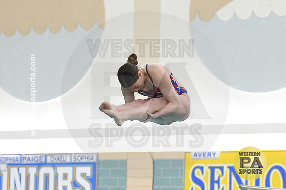 2024 WCCA Diving_20240126-KR1_8296