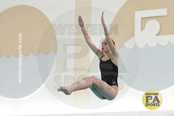 2024 WCCA Diving_20240126-KR1_8415