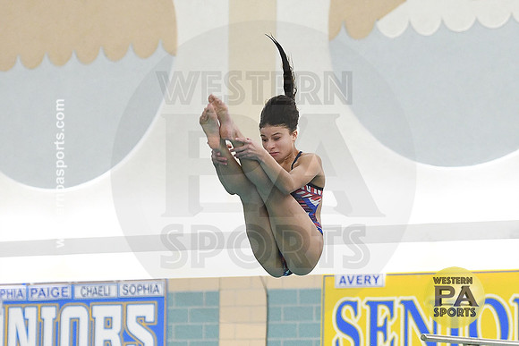 2024 WCCA Diving_20240126-KR1_8398