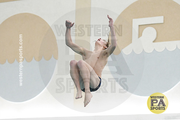 2024 WCCA Diving_20240126-KR1_8435