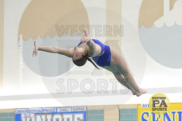 2024 WCCA Diving_20240126-KR1_8624