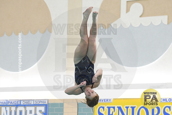 2024 WCCA Diving_20240126-KR1_8665
