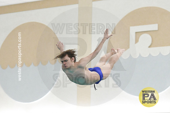 2024 WCCA Diving_20240126-KR1_8827