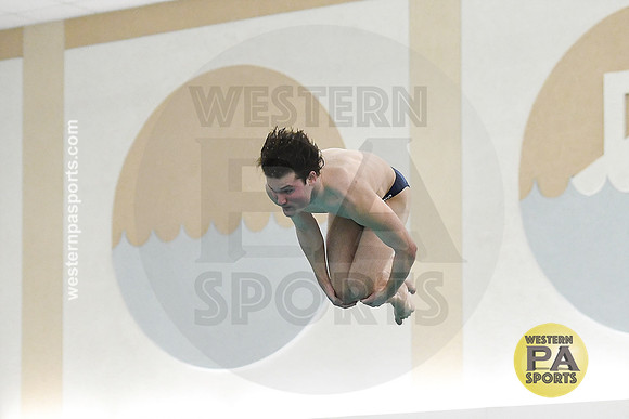2024 WCCA Diving_20240126-KR1_8849