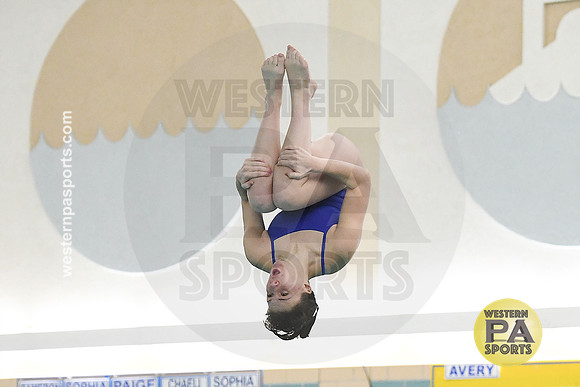 2024 WCCA Diving_20240126-KR1_9000