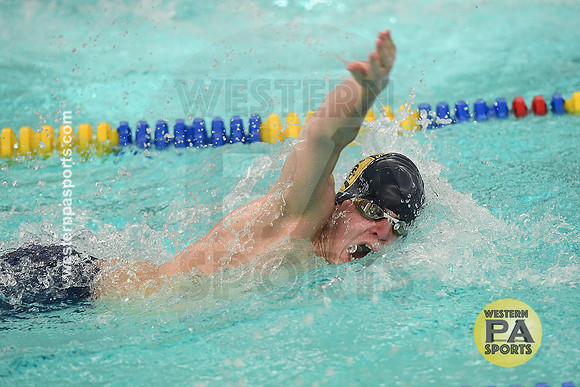 2024 WCCA Swimming_20240127-KR1_2626