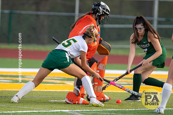 100119-FieldHockey-Allderdice vs PennTrafford-4717