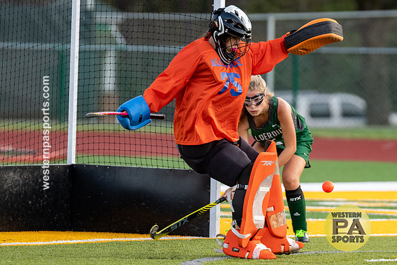 100119-FieldHockey-Allderdice vs PennTrafford-4969