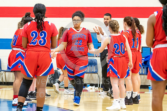 Girls Hoops-Mt Pleasant vs Jeannette_20200118-KR1_7285