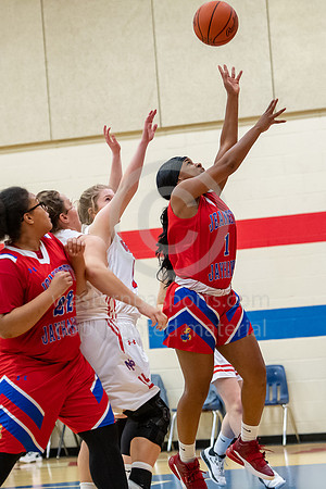 Girls Hoops-Mt Pleasant vs Jeannette_20200118-KR1_7357