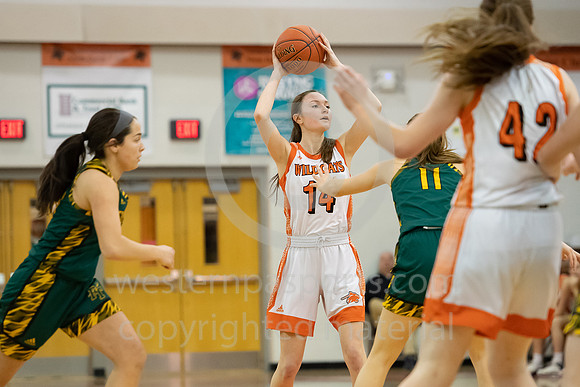 Girls Hoops-Latrobe vs Penn-Trafford_20200206-KR1_8430