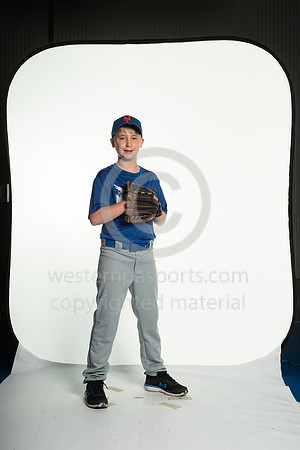 BR1_3101