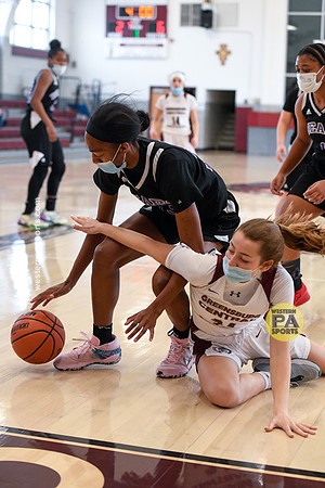 GCC-WT-WPIAL-Girlsbasketball_20210109-_BR24140