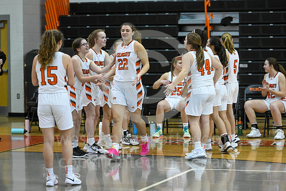 011322-Girls Hoops-Latrobe vs Gatewayr-BR9-0970