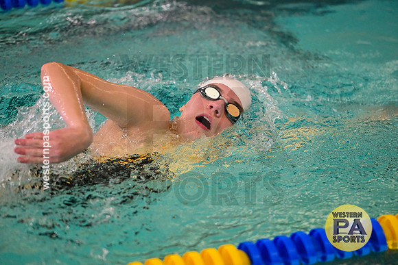 WCCA Swim_20250125-WP2_5324
