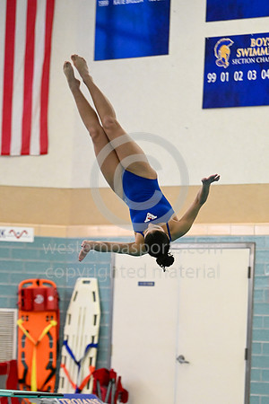 012425 - WCCA Diving-BR-2318