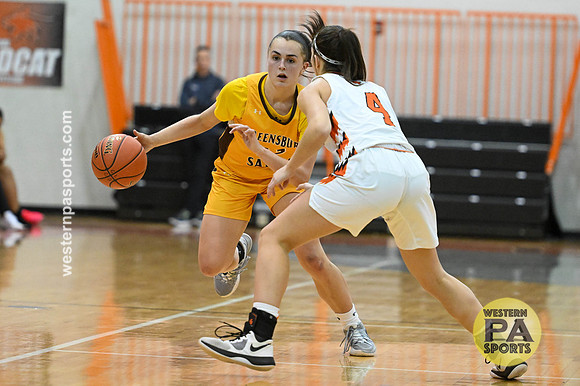 020021022- GirlsHoops-LatrobeVsGSalem-BR9-0457