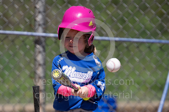TeeBall-CorrellVzHarness-0067