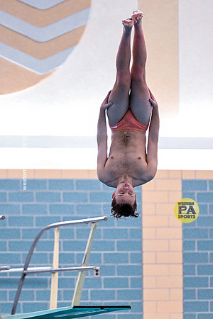 WCCA Diving_20220128-BR9-6263
