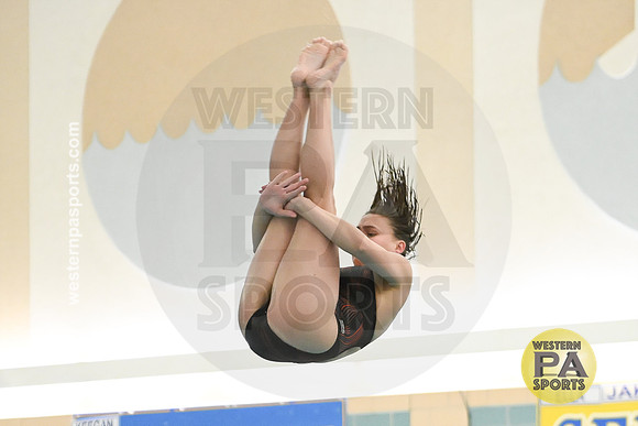 WCCA Diving_20230124-WP2_2905