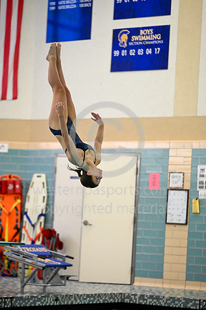 012425 - WCCA Diving-BR-2307