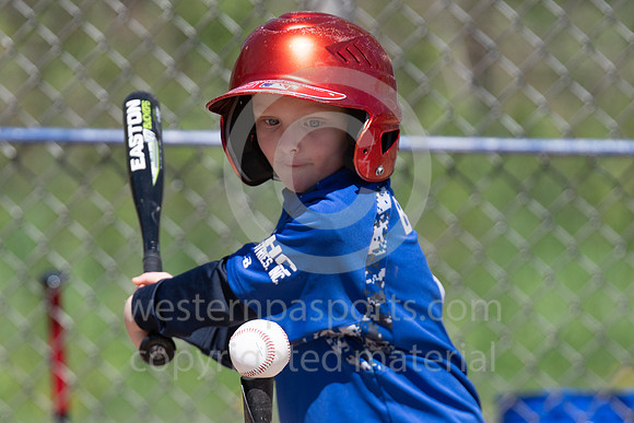 TeeBall-CorrellVzHarness-0124