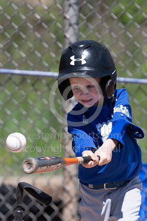 TeeBall-CorrellVzHarness-0152