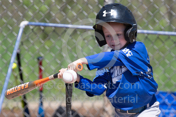 TeeBall-CorrellVzHarness-0151