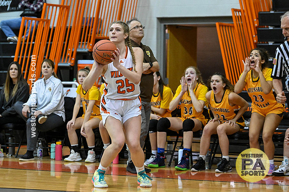 020021022- GirlsHoops-LatrobeVsGSalem-BR9-0219