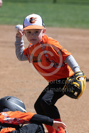 TeeBall-CorrellVzHarness-0050