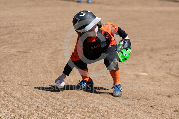TeeBall-CorrellVzHarness-0137