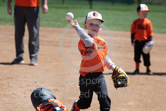 TeeBall-CorrellVzHarness-0053