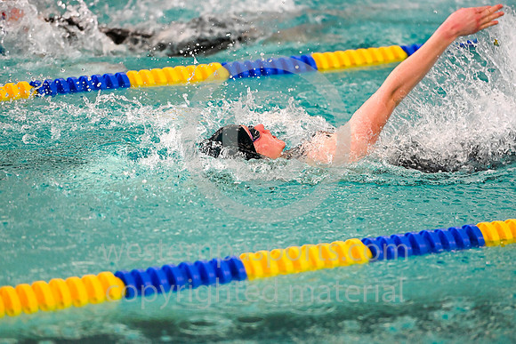 WCCA Swim_20250125-WP2_5089